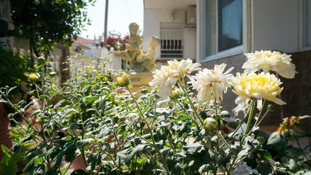 Niki Appartement Paralia Dionisiou